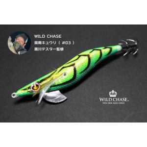 WILD LURES/ワイルドルアーズ WILD BEAT/ワイルドビート