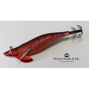 DAIWA（ダイワ） ブラックバス釣り入門セット （スピニングモデル