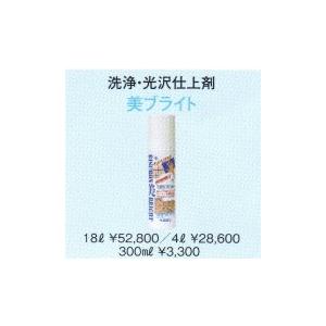 リスロン 多目的美化剤 美ブライト 0.3L