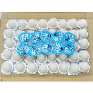 KBファーム プロゼリー 16g×50個 国産...の詳細画像1