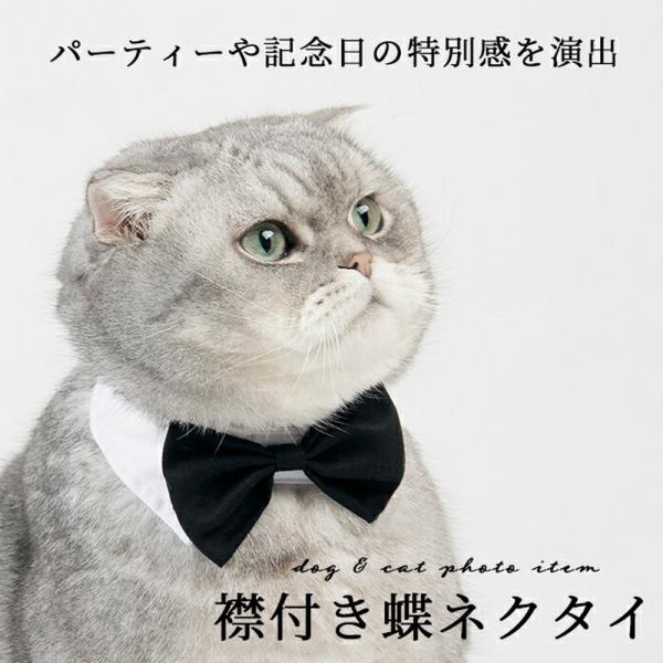 【送料無料】 ＼1000円ポッキリ／ フォーマル おしゃれ 蝶ネクタイ マジックテープ パーティー ...
