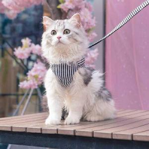 【送料無料】ハーネス 胴輪 リード付き 犬 猫 おしゃれ ストライプ柄 ダブルロック マジックテープ...