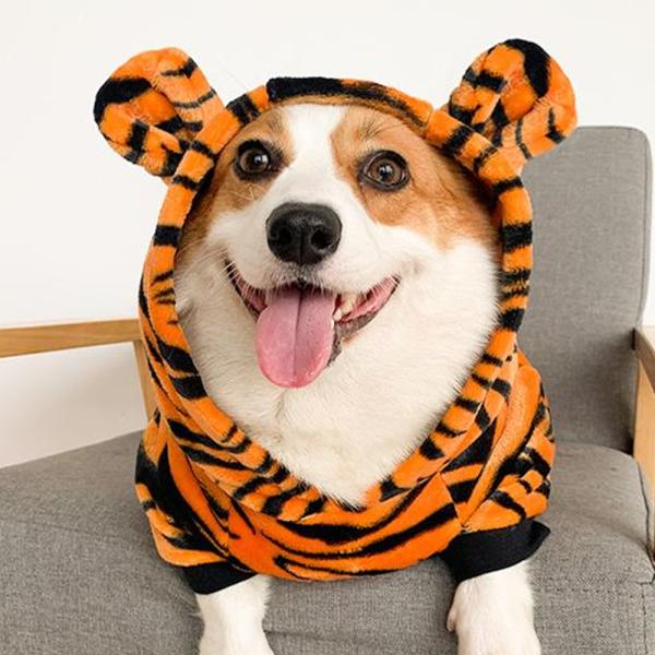 【送料無料】40%off 犬 猫 トラ  変身 ペットウエア フード 耳付 尻尾付 リブ付 ハロウィ...