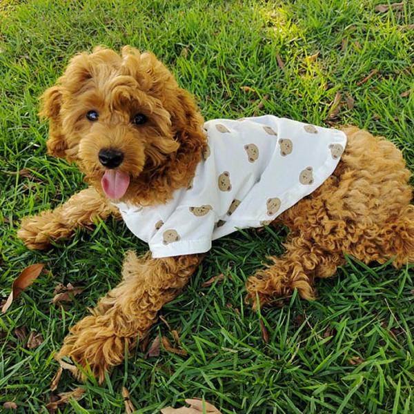 【送料無料】＼1000ポッキリ／ 犬服 ドッグウェア 猫服 キャットウェア 映え 半袖 犬 猫 カジ...
