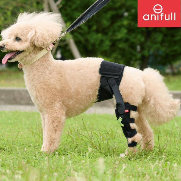 【anifull 公式】 アニサポ ニー 左 XSサイズ アニフル  犬 犬用 パテラ 膝蓋骨脱臼 ...