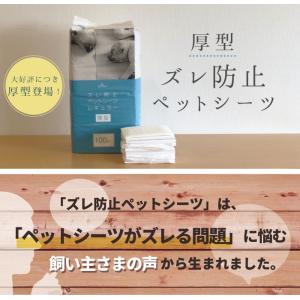 【anifull 公式】 厚型 ズレ防止 ペッ...の詳細画像1