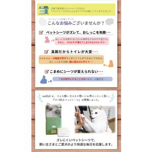 【anifull 公式】 厚型 ズレ防止 ペッ...の詳細画像2