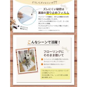 【anifull 公式】 厚型 ズレ防止 ペッ...の詳細画像3