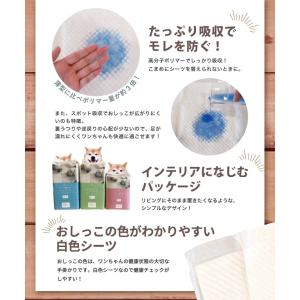 【anifull 公式】 厚型 ズレ防止 ペッ...の詳細画像4