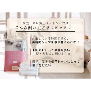 【anifull 公式】 厚型 ズレ防止 ペッ...の詳細画像5