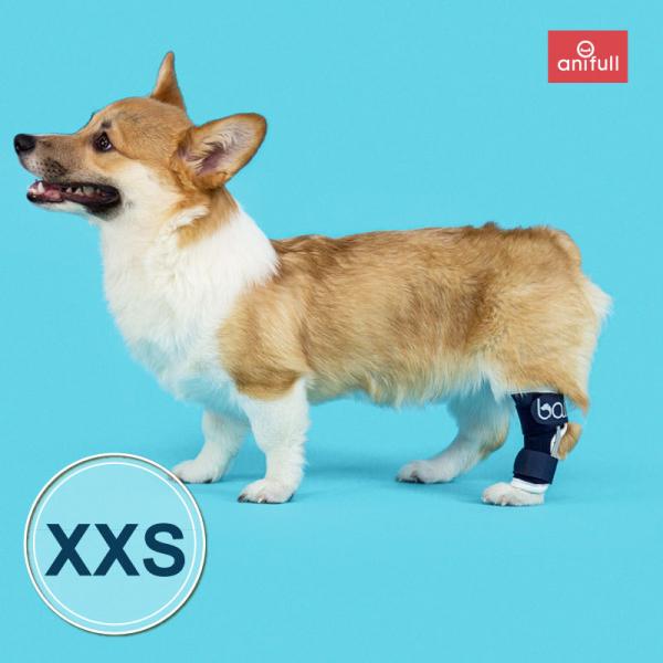 BT HOCK (足根関節サポーター)XXSサイズ愛犬の足首のサポートに足首サポーター 送料込