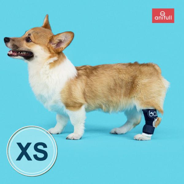 BT HOCK (足根関節サポーター)XSサイズ愛犬の足首のサポートに足首サポーター 送料込