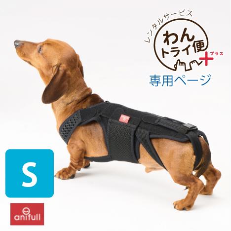 【anifull 公式】【レンタルサービスわんトライ便+】7日間 わんコル With Sサイズ アニ...