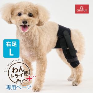 anifull 公式】 アニサポ ショルダースリーブ Mサイズ 小型犬向け