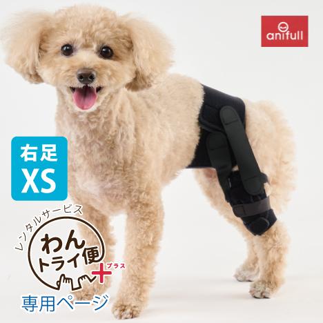 【anifull 公式】【レンタルサービスわんトライ便+】7日間 アニサポ パテラン 小型犬向け ア...