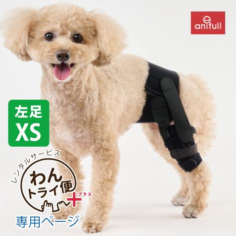 【anifull 公式】【レンタルサービスわんトライ便+】7日間 アニサポ パテラン 小型犬向け ア...