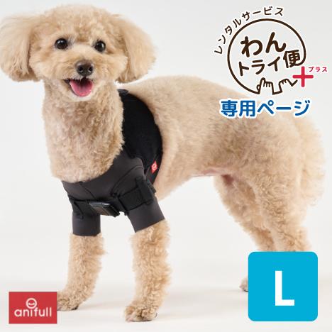 【anifull 公式】【レンタルサービスわんトライ便+】7日間 アニサポ ショルダースリーブ  小...
