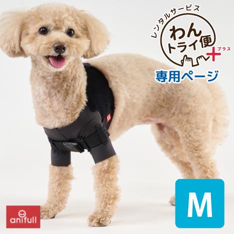 【anifull 公式】【レンタルサービスわんトライ便+】7日間 アニサポ ショルダースリーブ Mサ...
