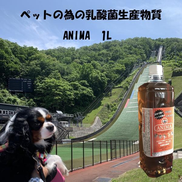 ペットの為の乳酸菌生産物質ANIMA 1L