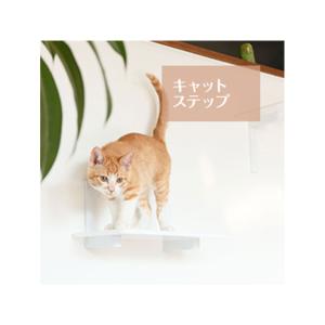 animacolle キャットタワー キャットウォーク キャットステップ animacolle キャットタワー キャットウォーク キャットステップ