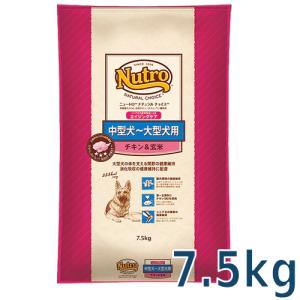ナチュラルチョイス ニュートロ 中型犬〜大型犬用 エイジングケア