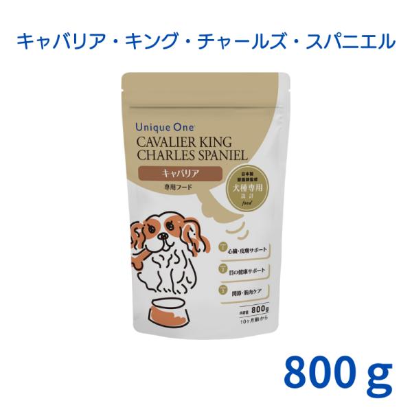 UniqueOne‐ユニークワン‐　キャバリア・キング・チャールズ・スパニエル　800g