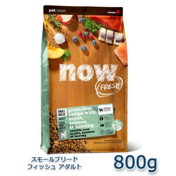 NOW FRESH Grain Free　スモールブリード　フィッシュアダルト　800g