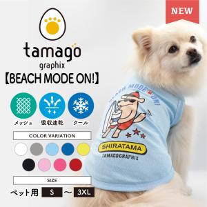ペッタム ペット用テロメアサプリメント : ANIMA - 通販 - Yahoo
