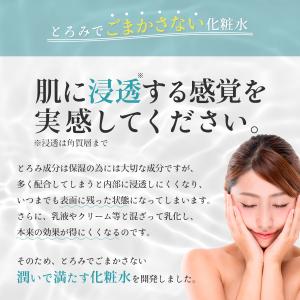 化粧水 保湿 毛穴 くすみ 弱酸性 混合肌 乾...の詳細画像2