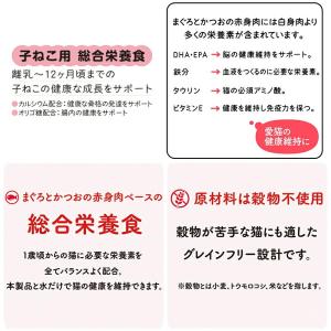 黒缶パウチ 子ねこ用 まぐろとかつおペースト 60gの詳細画像2