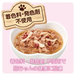 ミャウミャウパウチ ジューシー おにくプラス 60gの詳細画像1