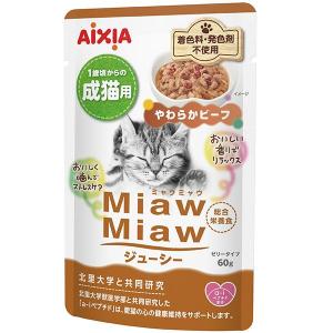 ミャウミャウパウチ ジューシー やわらかビーフ ６０ｇ