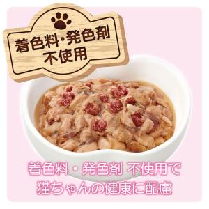 ミャウミャウパウチ ジューシー やわらかビーフ...の詳細画像1