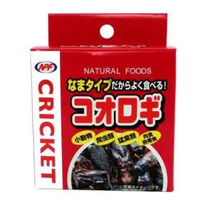 オリエンタル酵母 ウサギ・モルモット用飼料 LRC4 20kg : イコアペット