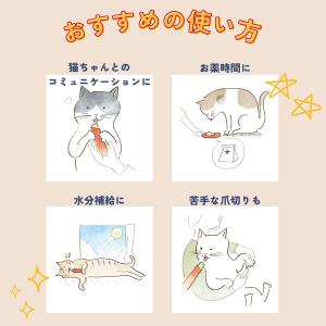 CIAO ちゅ〜る 11歳からの まぐろ・かつ...の詳細画像1