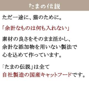 たまの伝説パウチ たべて水分補給 かつお 30gの詳細画像2