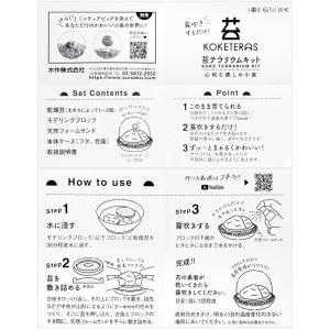 水作 ソコニワ 苔テラリウムキットの詳細画像3