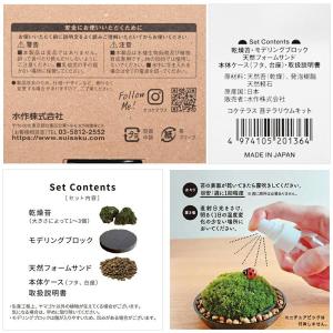 水作 ソコニワ 苔テラリウムキットの詳細画像4