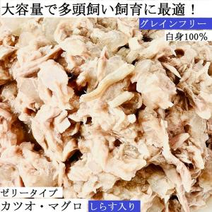 極旨プレミアム缶 ゼリータイプ カツオ・マグロ...の詳細画像1