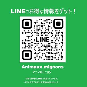 アース・ペット 薬用ショットオン 猫用 3本入の詳細画像3