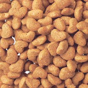 ビューティープロキャット 子猫用 フィッシュ味...の詳細画像1