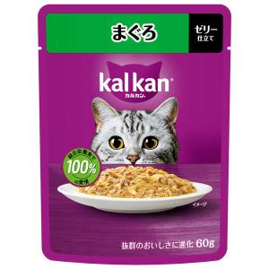 カルカンパウチ まぐろ ６０ｇ