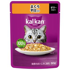 カルカンパウチ まぐろ 平目入り ６０ｇ