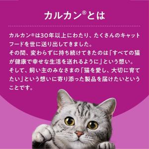 カルカンパウチ 子ねこ用 まぐろ たい入り 60gの詳細画像2