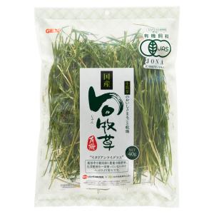 ベトキノール イパキチン ( 180g )/ : 爽快ドラッグ - 通販 - Yahoo