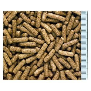 キョーリン カメプロス 大スティック 60gの詳細画像1
