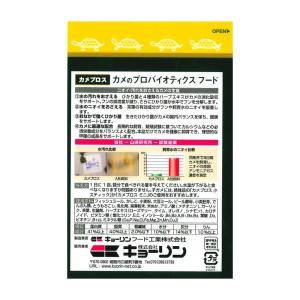 キョーリン カメプロス 大スティック 60gの詳細画像2
