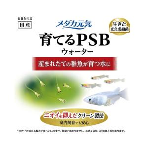 GEX メダカ元気 育てるPSBウォーター 1Lの詳細画像1