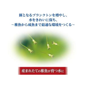 GEX メダカ元気 育てるPSBウォーター 1Lの詳細画像2