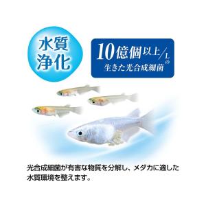 GEX メダカ元気 育てるPSBウォーター 1Lの詳細画像4